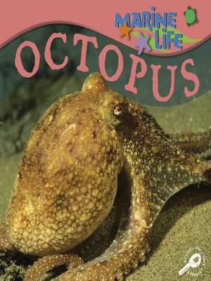 cover image of Octopus